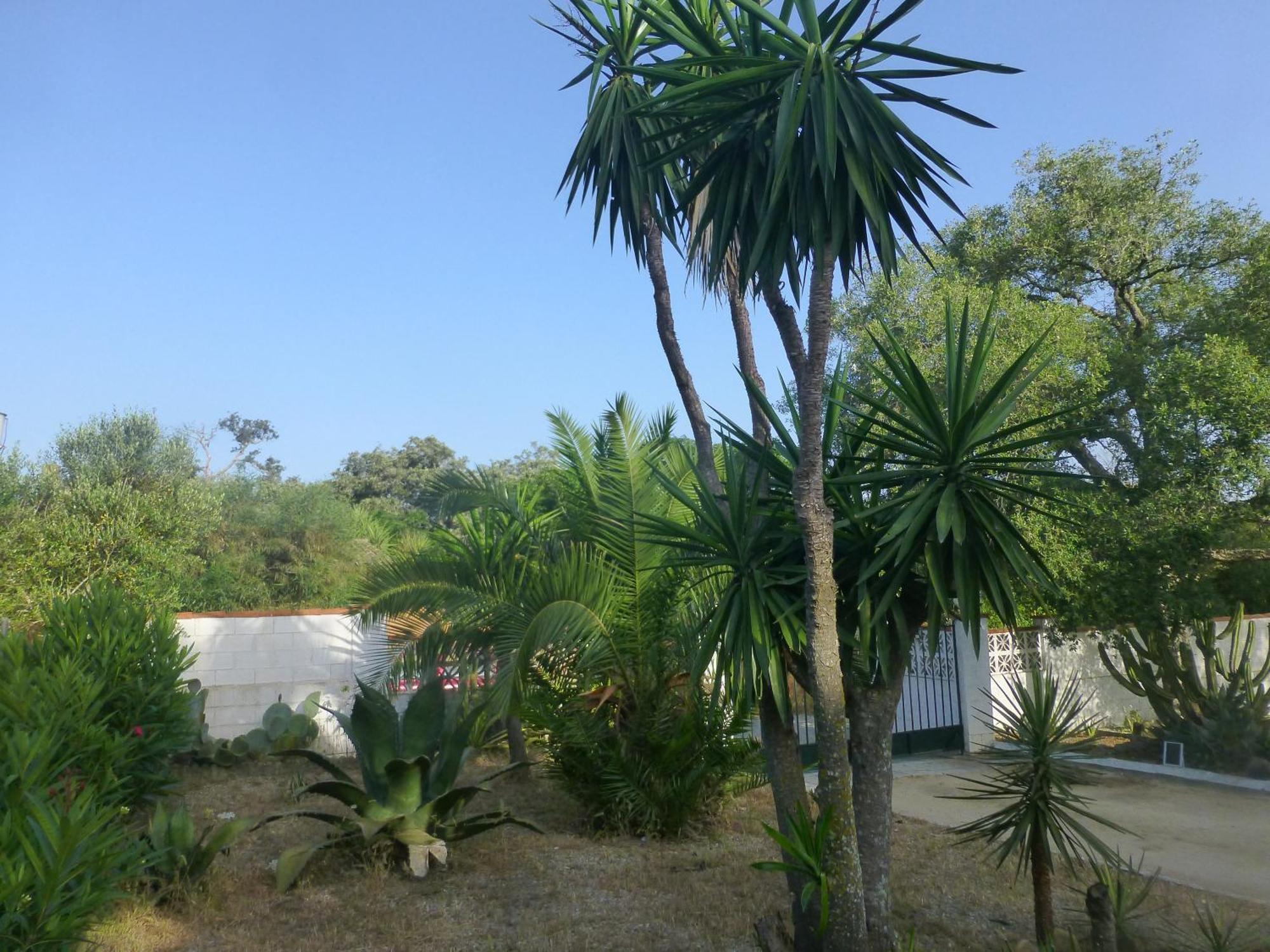 Casa Isabela *
