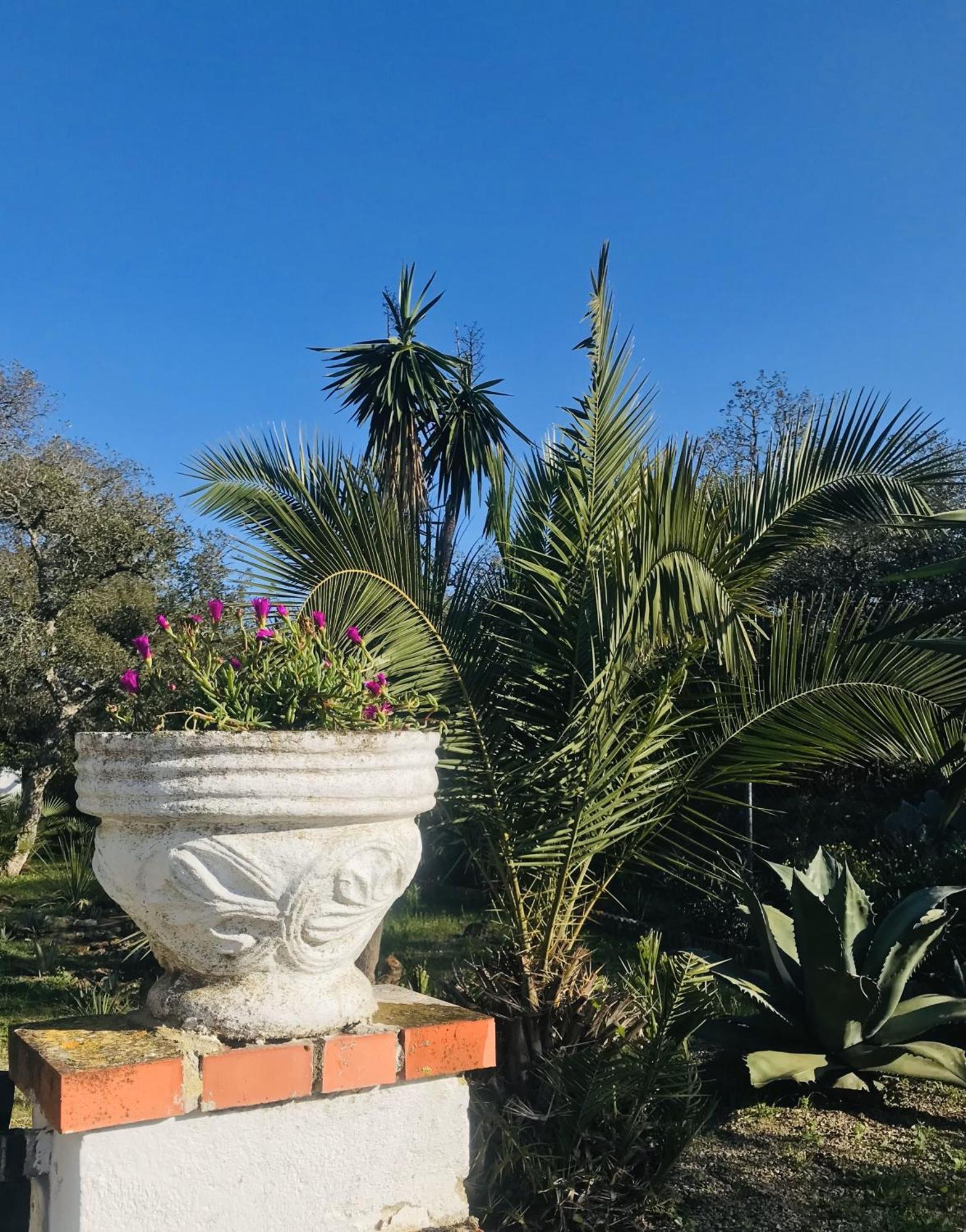 Casa Isabela