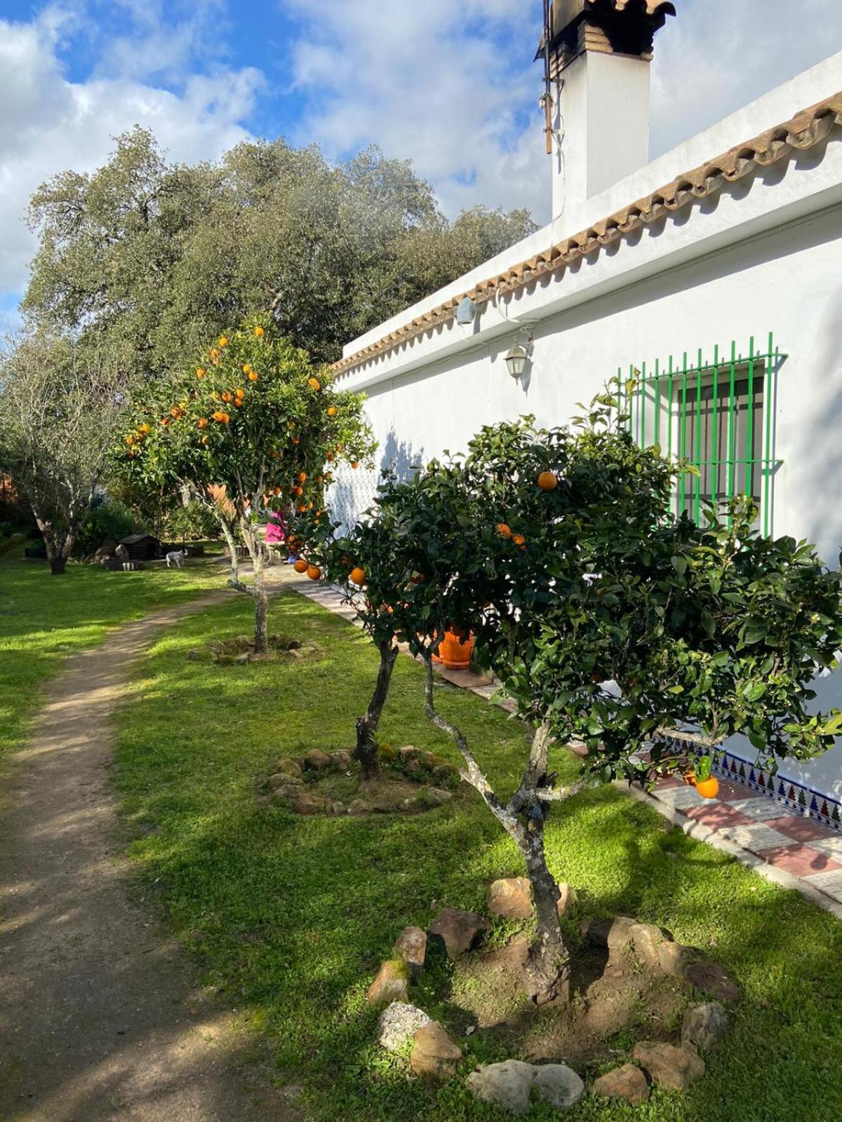 Casa Isabela Ferienhaus Chiclana de la Frontera