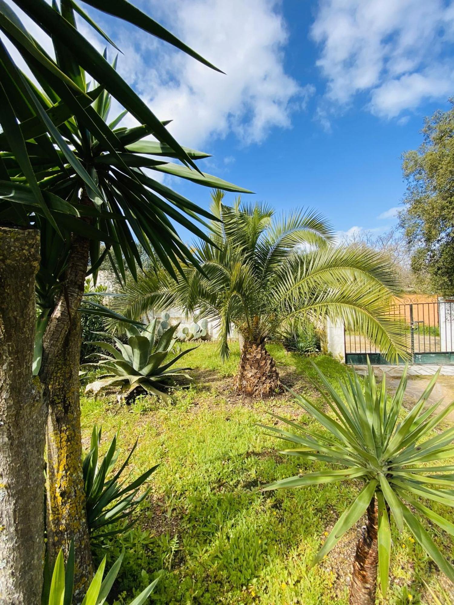 Casa Isabela Ferienhaus